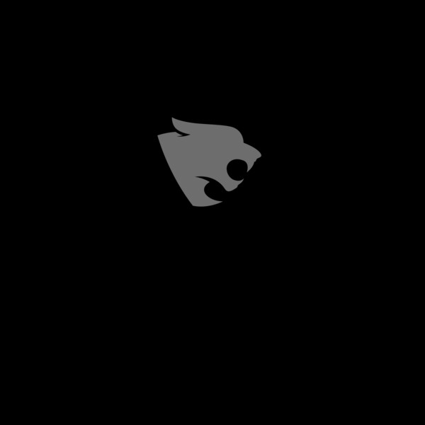 Panthers Track & Field team 02 Thumbnail