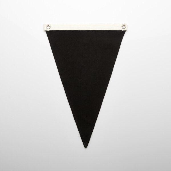 BULK Canvas Pennant Flag 25 Thumbnail